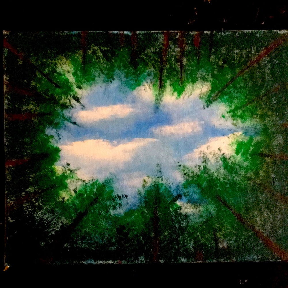 Original canvas painting by local artist
